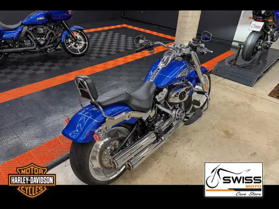 HARLEY-DAVIDSON-SOFTAIL FAT BOY 117 HARLEY-DAVIDSON-SOFTAIL FAT BOY 117-2025
