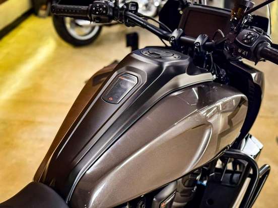 HARLEY-DAVIDSON-PAN AMERICA 1250 S HARLEY-DAVIDSON-PAN AMERICA 1250 S-2024