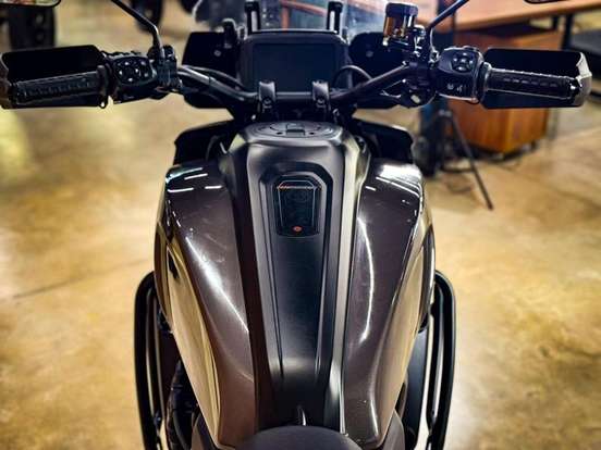 HARLEY-DAVIDSON-PAN AMERICA 1250 S-2024