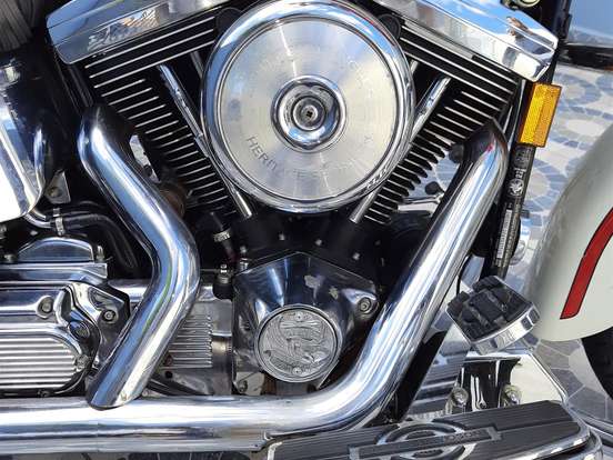 HARLEY-DAVIDSON-SOFTAIL SPRINGER HARLEY-DAVIDSON-SOFTAIL SPRINGER-1997