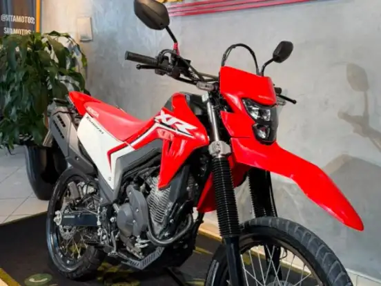 HONDA-XR 300L TORNADO HONDA-XR 300L TORNADO-2025