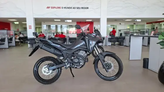 HONDA XRE 300 SAHARA 