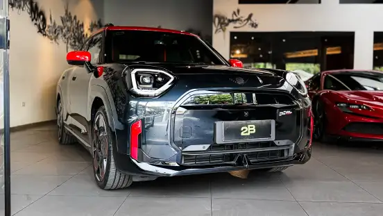 MINI-ACEMAN-2025