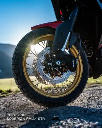 MOTO MORINI-X-CAPE GOLD EDITION-2026