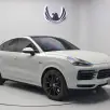 PORSCHE CAYENNE 3.0 V6 E-HYBRID COUPÉ PLATINUM EDITION AWD TIPTRONIC S PORSCHE CAYENNE 3.0 V6 E-HYBRID COUPÉ PLATINUM EDITION AWD TIPTRONIC S
