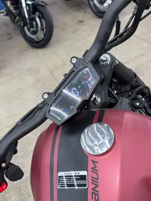 SHINERAY-TITANIUM 250-2025