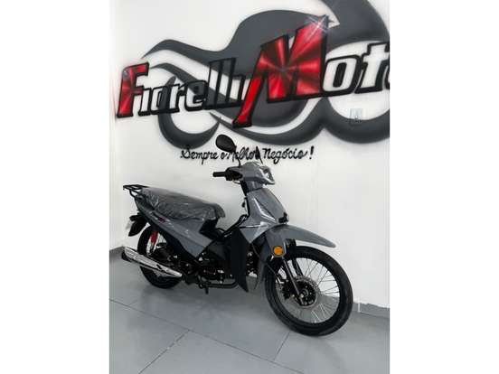 SHINERAY-PHOENIX S 50-2026