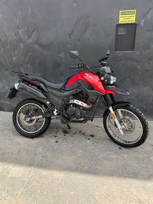 SHINERAY-SHI 175-2025