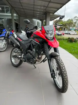 YAMAHA-XTZ 250 LANDER-2024