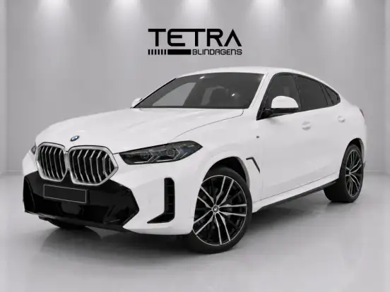 BMW-X6-3.0 TWINPOWER GASOLINA XDRIVE40I M SPORT AUTOMÁTICO BMW-X6-2026