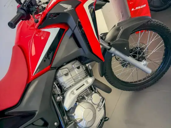 HONDA-XRE 300 RALLY HONDA-XRE 300 RALLY-2023