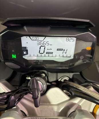 BMW-G 310 R-2024
