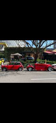 MINI-COOPER-1993