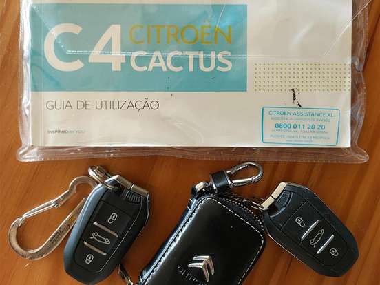 CITROËN-C4 CACTUS-1.6 THP FLEX SHINE PACK EAT6 CITROËN-C4 CACTUS-2019