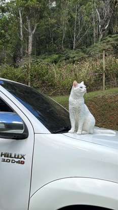 TOYOTA-HILUX-2013