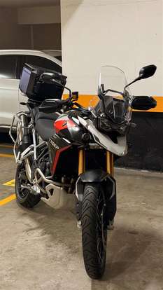 TRIUMPH-TIGER 900 RALLY PRO TRIUMPH-TIGER 900 RALLY PRO-2026