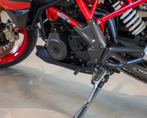 BMW-G 310 R-2024