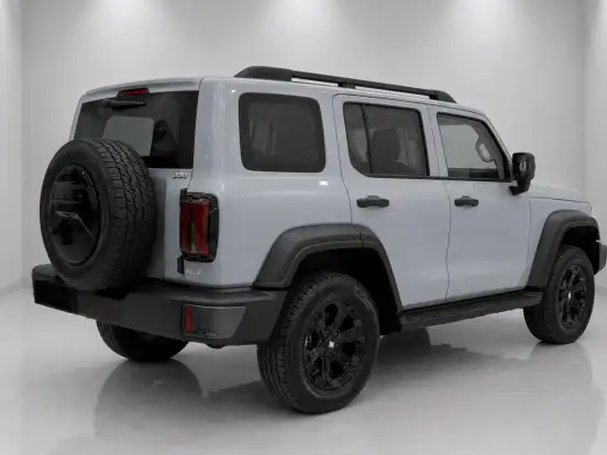 GWM-TANK 300-2.0 HI4-T PHEV FLEX 4X4 9HAT GWM-TANK 300-2026