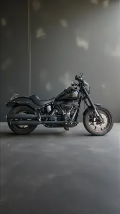 HARLEY-DAVIDSON LOW RIDER S 