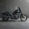 HARLEY-DAVIDSON LOW RIDER S HARLEY-DAVIDSON LOW RIDER S