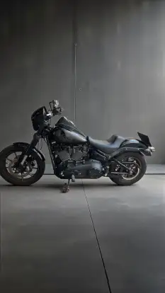 HARLEY-DAVIDSON-LOW RIDER S-2020