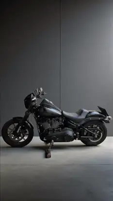 HARLEY-DAVIDSON-LOW RIDER S-2020