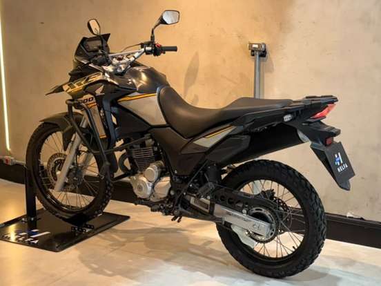 HONDA-XRE 300 ADVENTURE HONDA-XRE 300 ADVENTURE-2021