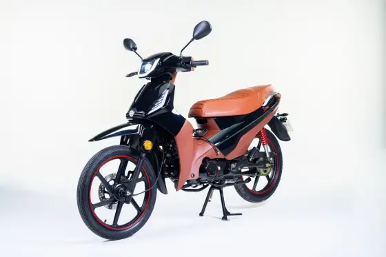 SHINERAY PHOENIX S 50 EFI SHINERAY PHOENIX S 50 EFI
