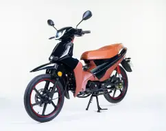 SHINERAY PHOENIX S 50 EFI SHINERAY PHOENIX S 50 EFI