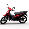 SHINERAY PHOENIX S 50 EFI SHINERAY PHOENIX S 50 EFI
