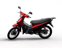 SHINERAY PHOENIX S 50 EFI SHINERAY PHOENIX S 50 EFI