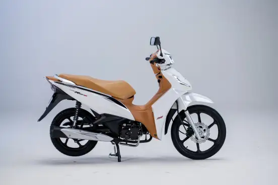 SHINERAY-RIO 125-2026