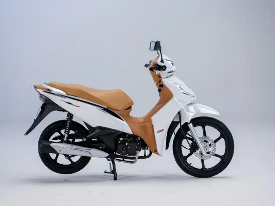 SHINERAY-RIO 125 SHINERAY-RIO 125-2026