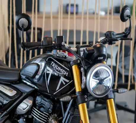 TRIUMPH-SPEED 400-2024