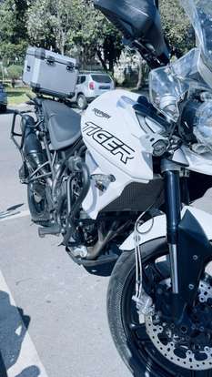 TRIUMPH-TIGER 800 XRX-2019