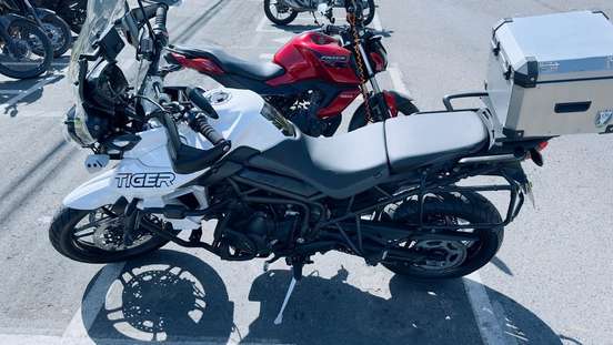 TRIUMPH-TIGER 800 XRX-2019