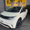 BYD DOLPHIN 44,9 KW ELÉTRICO GS BYD DOLPHIN 44,9 KW ELÉTRICO GS