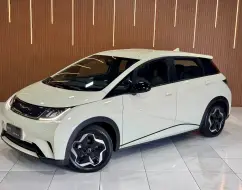 BYD DOLPHIN 44,9 KW ELÉTRICO BYD DOLPHIN 44,9 KW ELÉTRICO