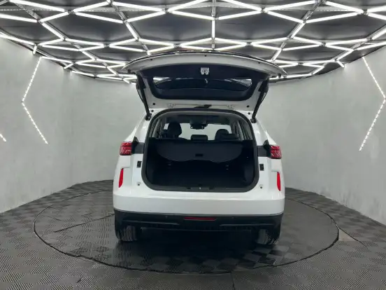 GWM-HAVAL H6-2024