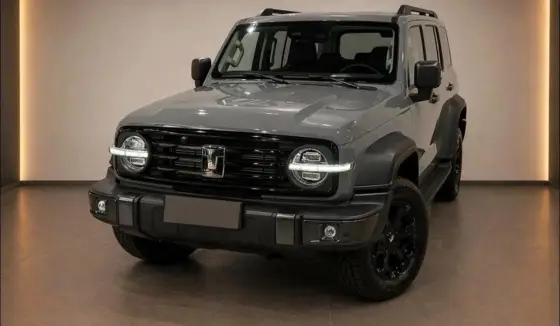 GWM TANK 300 2.0 HI4-T PHEV FLEX 4X4 9HAT GWM TANK 300 2.0 HI4-T PHEV FLEX 4X4 9HAT