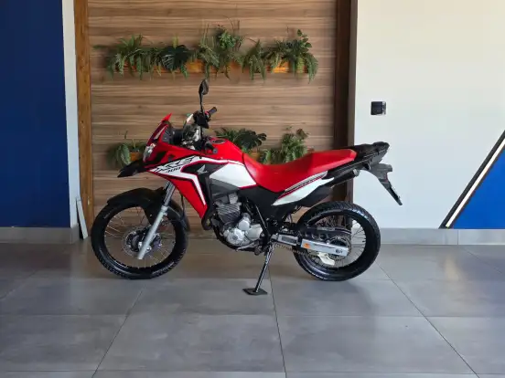 HONDA-XRE 300 ABS HONDA-XRE 300 ABS-2020