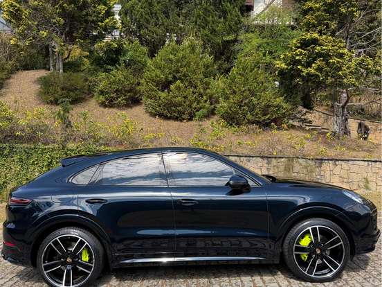 PORSCHE-CAYENNE-3.0 V6 E-HYBRID COUPÉ PLATINUM EDITION AWD TIPTRONIC S PORSCHE-CAYENNE-2022