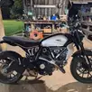 DUCATI SCRAMBLER ICON DUCATI SCRAMBLER ICON