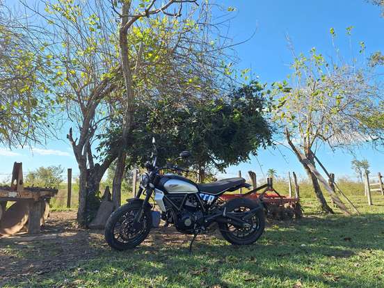 DUCATI-SCRAMBLER ICON-2024