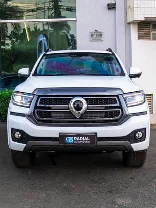 GWM-POER P30-2026