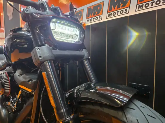 HARLEY-DAVIDSON-SOFTAIL FAT BOB 114-2019