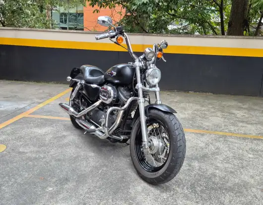 HARLEY-DAVIDSON-SPORTSTER 1200 XL CUSTOM-2014