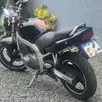 SUZUKI GS500E SUZUKI GS500E