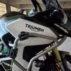 TRIUMPH TIGER 1200 RALLY EXPLORER TRIUMPH TIGER 1200 RALLY EXPLORER