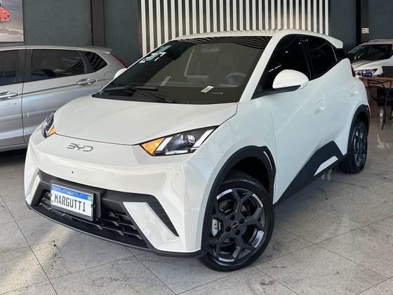 BYD DOLPHIN MINI 38 KW ELÉTRICO GS